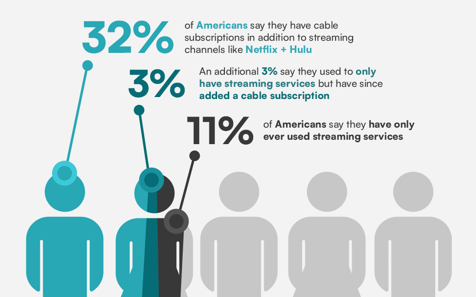 Graphic of U.S. streaming platform subscription statistics