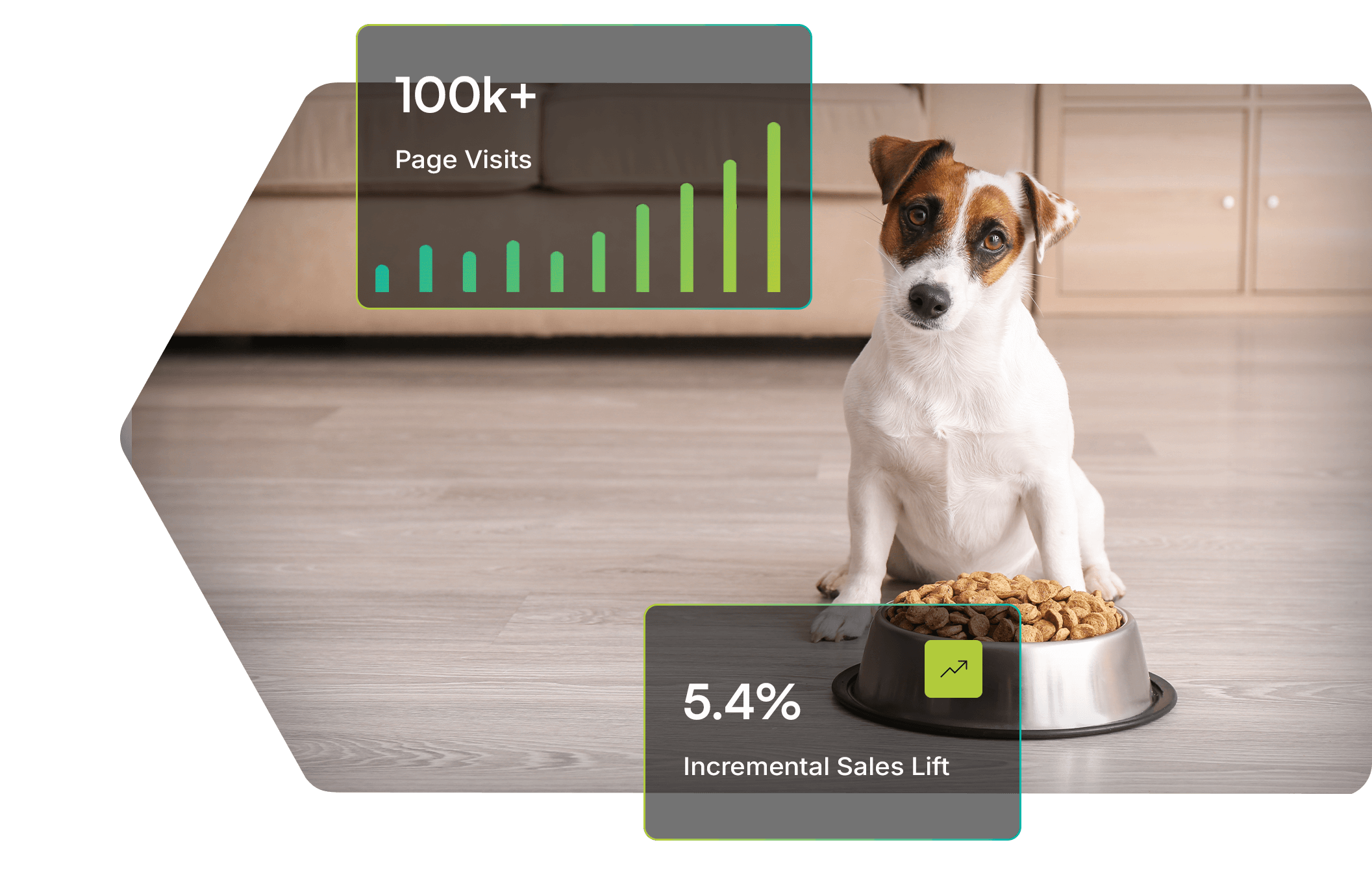 case study dog food (1)